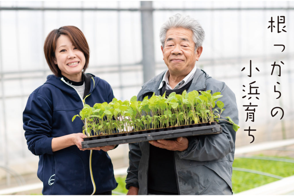 画像に alt 属性が指定されていません。ファイル名: iketop-1024x683.jpg